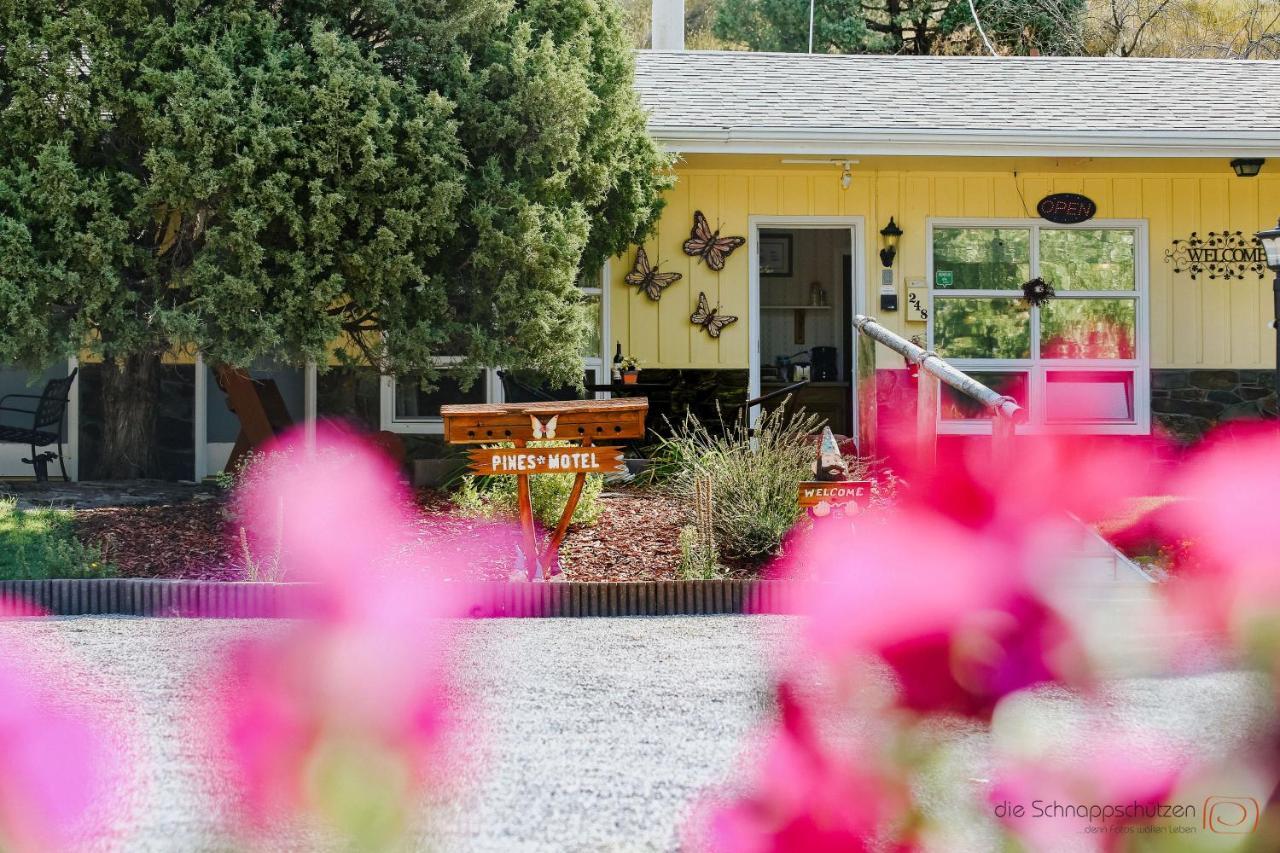 The Pines Country Inn Newcastle 외부 사진